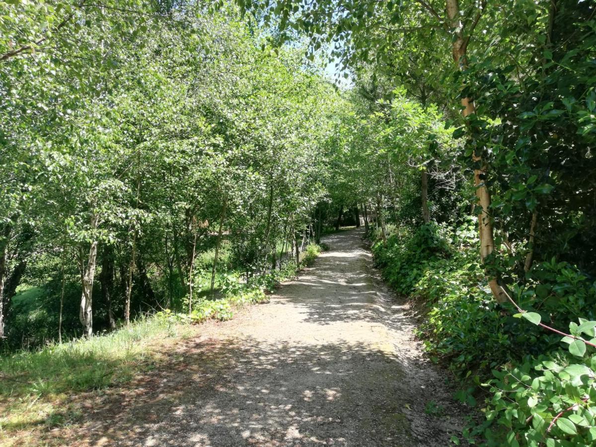 Albergue Camino Real 시게이로 외부 사진