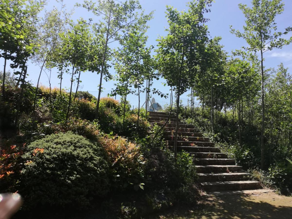 Albergue Camino Real 시게이로 외부 사진
